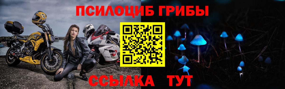Галлюциногенные грибы ЛСД  Вход с VPN  Полысаево 